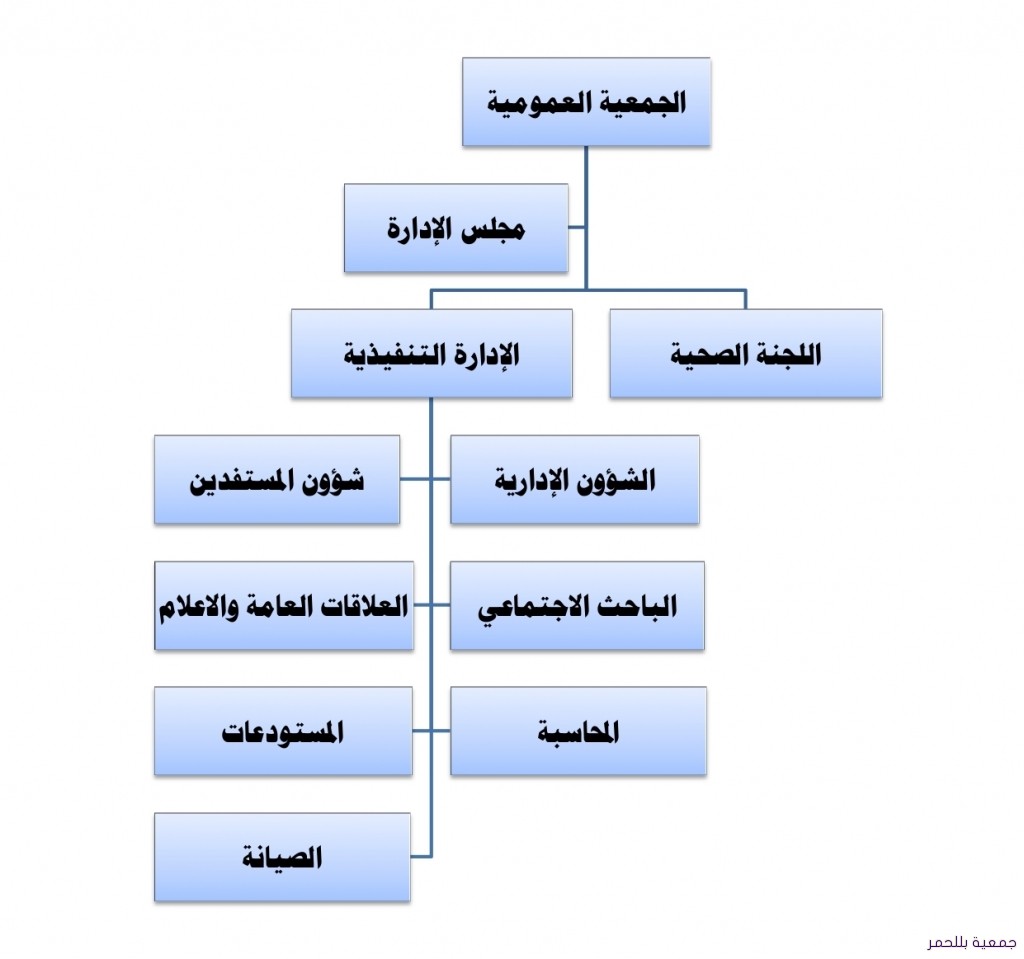 الهيكل التنظيمي